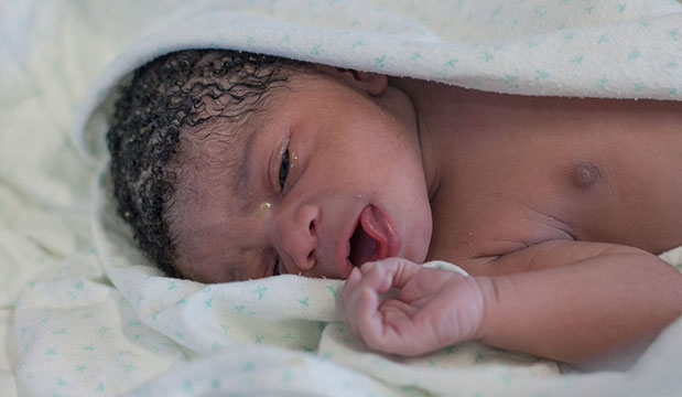 A newborn baby rests.